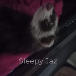 Sleepy Jaz 
